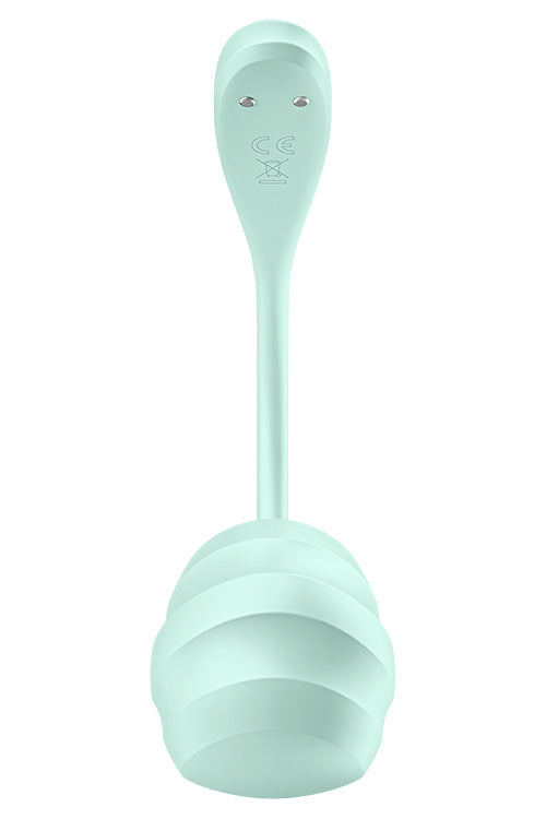 Satisfyer Smooth Petal App Controlled 9.4 Wearable Egg Vibrator