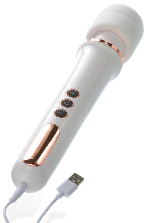 Adam and Eve 4 Piece Anal Training Kit plus Bullet Vibrator